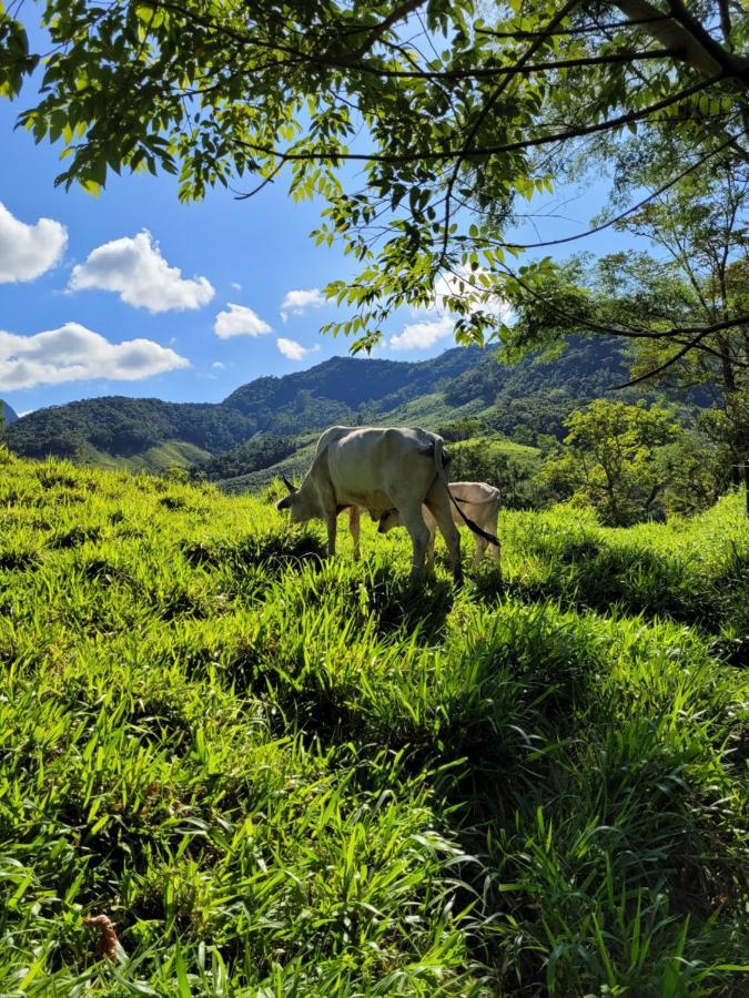 Fazendinha Paraiso Лумиар Экстерьер фото